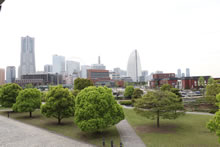 横浜ビル群と新緑